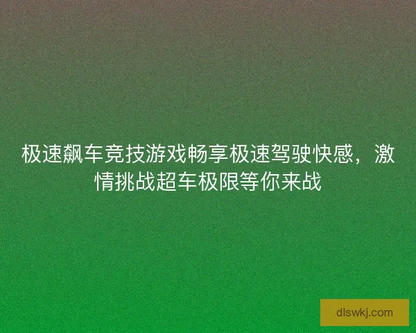 极速飙车竞技游戏畅享极速驾驶快感，激情挑战超车极限等你来战